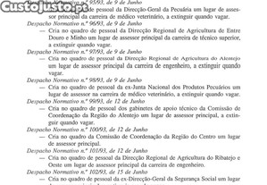 imagem_25