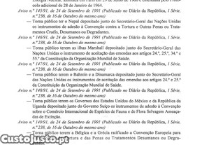 imagem_38