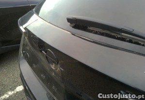 imagem_13