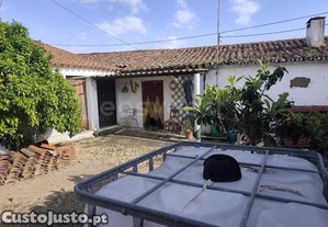 imagem_24