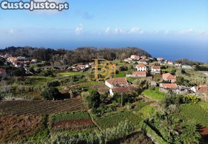 imagem_5