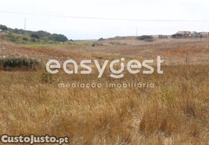 imagem_22
