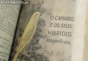 imagem_8