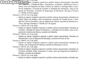 imagem_35