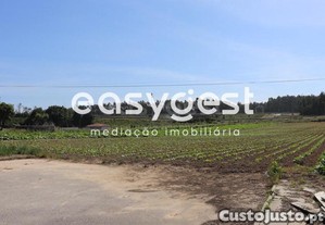 imagem_6