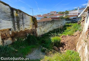 imagem_11