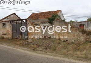 imagem_8