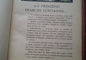imagem_3