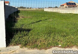 imagem_6