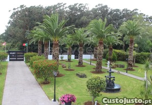 imagem_44