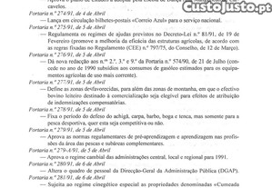 imagem_21