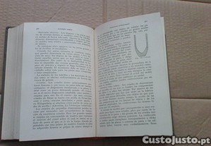 imagem_7