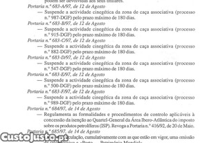 imagem_40