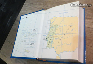imagem_4