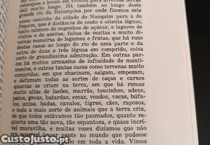 imagem_5
