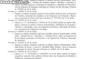 imagem_29