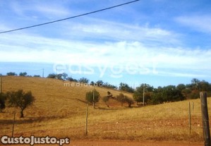 imagem_20