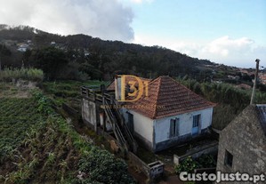 imagem_6