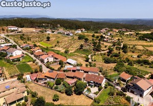 imagem_37