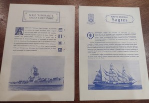 Navio Escola Sagres e N. R. P. Almirante Gago Coutinho