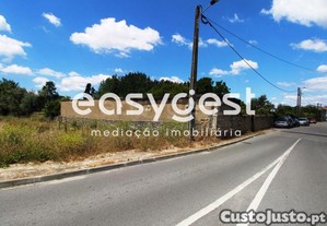 imagem_1