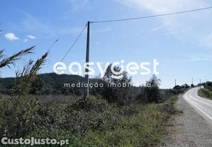 imagem_3