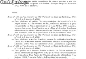 imagem_29