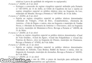 imagem_15