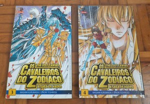 imagem_2