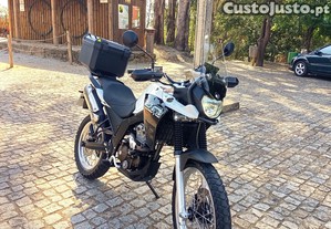 imagem_6