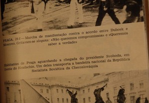 imagem_6
