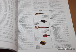 imagem_5