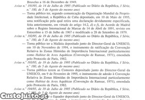 imagem_57