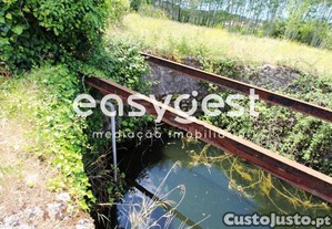 imagem_12