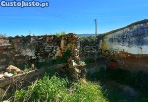 imagem_13