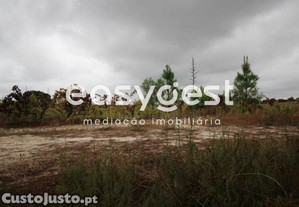 imagem_6