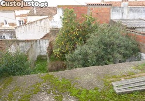 imagem_11