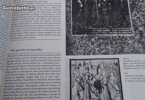 imagem_7