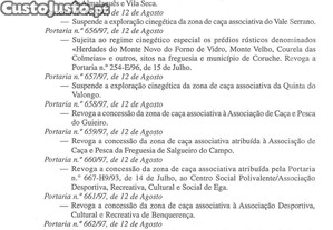 imagem_38