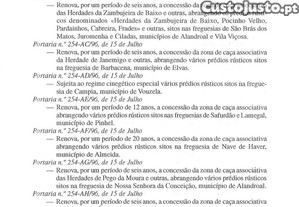 imagem_19