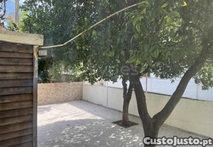 imagem_43
