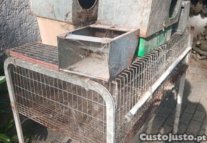 imagem_2