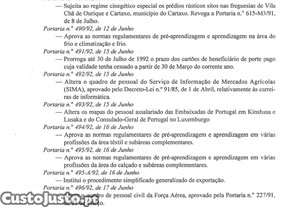 imagem_16