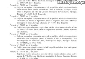 imagem_22