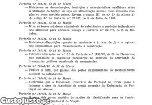 imagem_11
