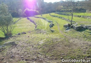 imagem_25