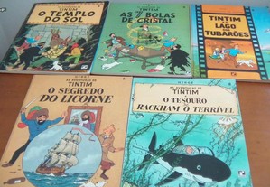 imagem_4
