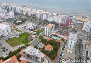 imagem_1