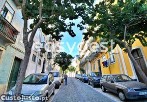 imagem_12