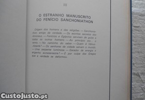 imagem_8